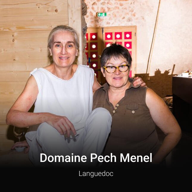 Domaine Pech Menel